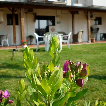 Residenza Isabella Apartment Marina di Grosseto
